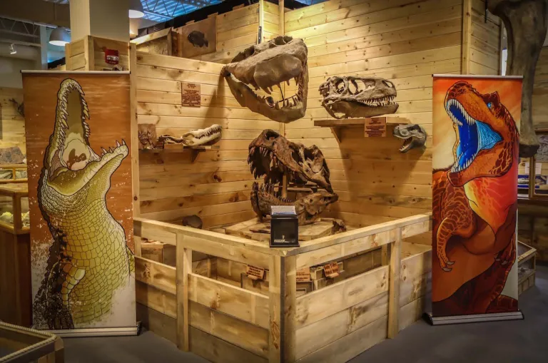 Appalachian Fossil Museum