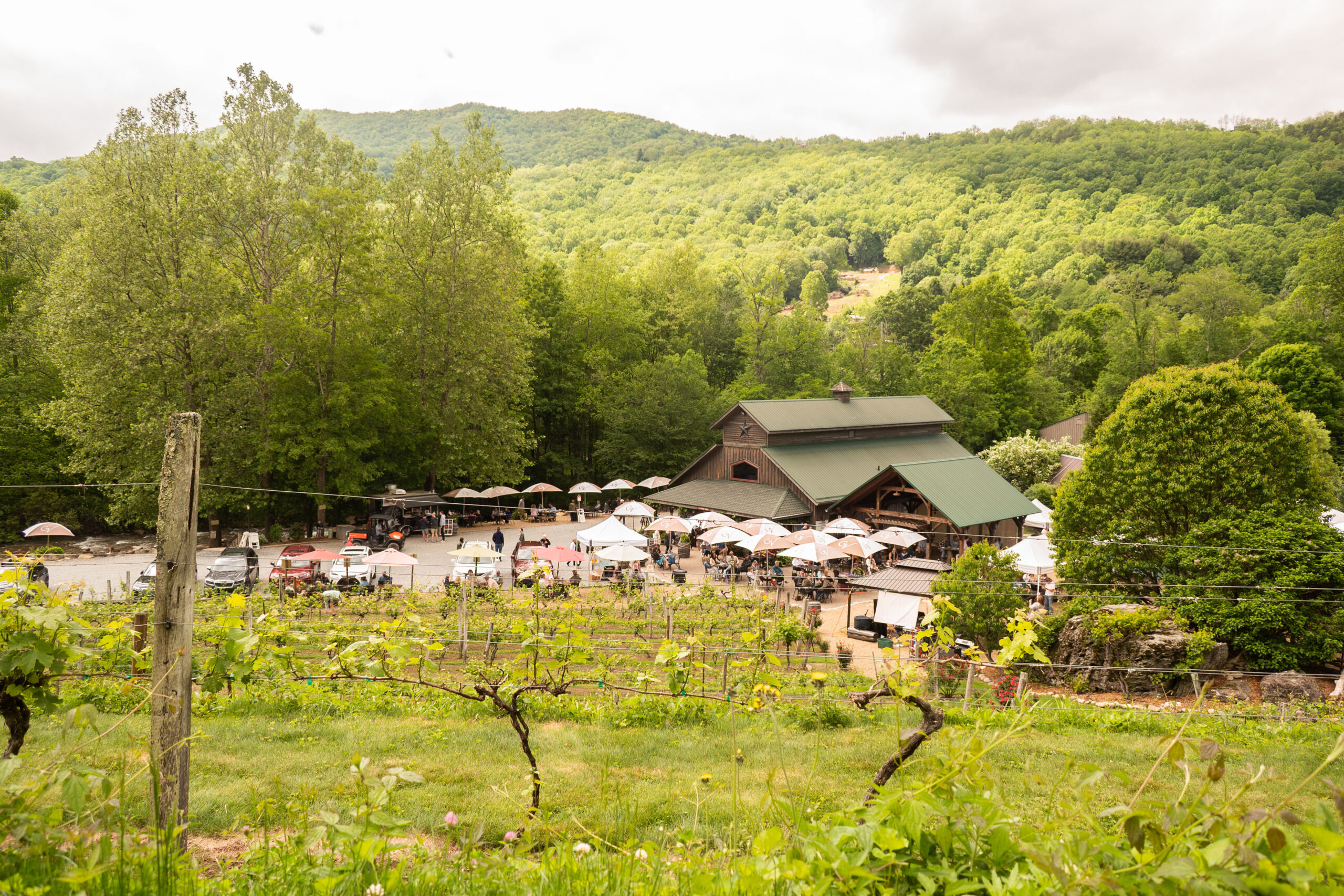 Grandfather Mountain Winery - Elk Ridge Cottages